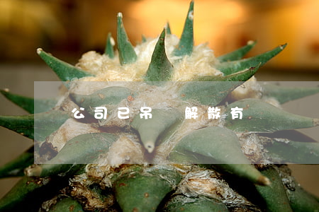 公司已吊銷解散有訴訟時(shí)效嗎