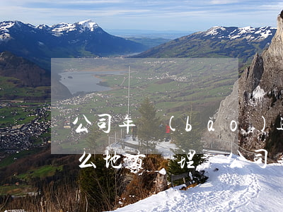 公司年報(bào)逾期未報(bào)什么地方處理-公司年報(bào)逾期未報(bào)什么地方處理呢