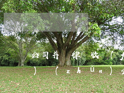 公司并購律師收費(fèi)標(biāo)準(zhǔn)(企業(yè)并購律師收入)