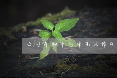 公司并购中的常见法律风险及其防范