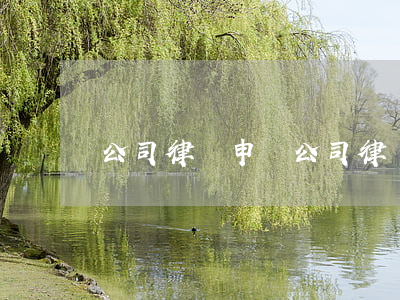 公司律師申請(公司律師申請時間)