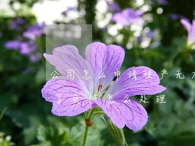公司怎么申请破产 无力偿还债务-宣布破产了负债怎么处理