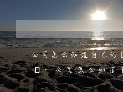 公司怎么知道自己的員工欠網(wǎng)貸-公司怎么知道自己的員工欠網(wǎng)貸了