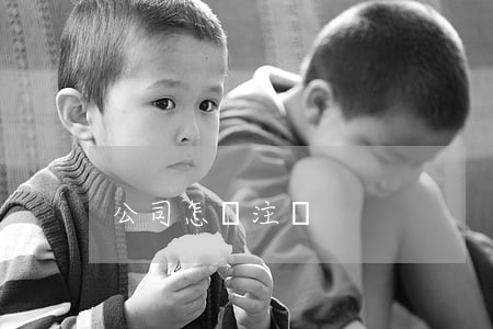 公司怎樣注冊