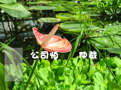 公司怕勞動仲裁嗎