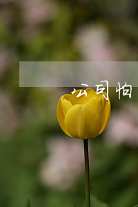 公司怕員工告勞動局嗎