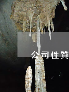 公司性質有哪幾種