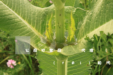公司打官司訴訟代理費(fèi)怎么做賬(訴訟費(fèi)和代理費(fèi))
