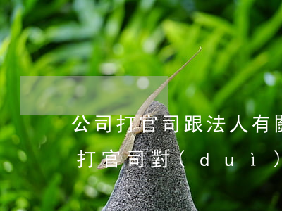 公司打官司跟法人有關(guān)嗎(公司打官司對(duì)法人有什么影響)