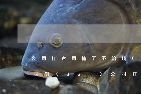 公司打官司輸了不給錢(qián)后果(公司對(duì)公司打官司輸了沒(méi)錢(qián)賠怎么辦)