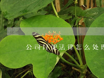 公司打架法律怎么处理(打架违反了什么法律)