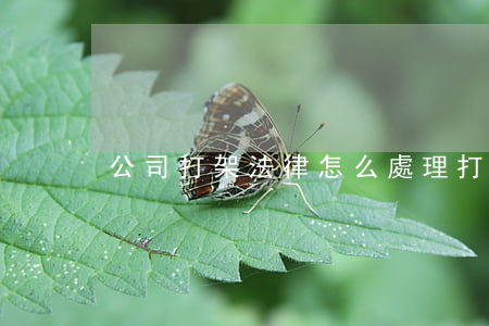 公司打架法律怎么處理(打架違反了什么法律)