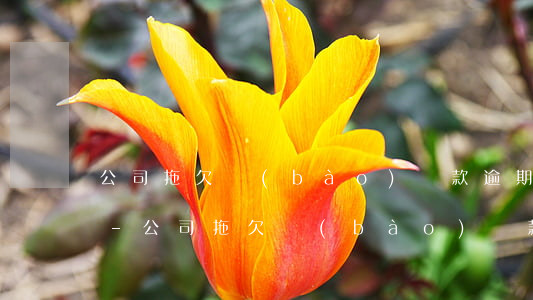 公司拖欠報(bào)銷款逾期利息怎么算-公司拖欠報(bào)銷款逾期利息怎么算的