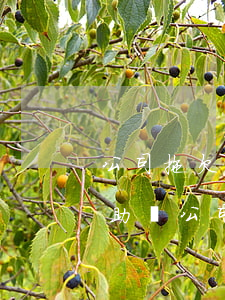 公司拖欠工資可以申請(qǐng)法律援助嗎(公司拖欠工資可以申請(qǐng)法律援助嗎)