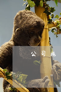 公司拖欠工資怎么快速解決