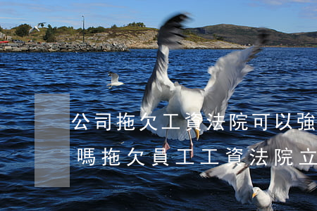 公司拖欠工資法院可以強制執(zhí)行嗎(拖欠員工工資法院立案后多久強制執(zhí)行)