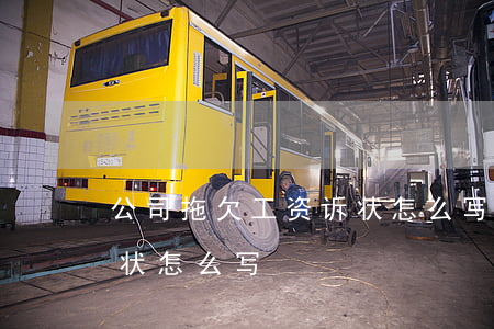 公司拖欠工资诉状怎么写(拖欠工人工资起诉状怎么写)