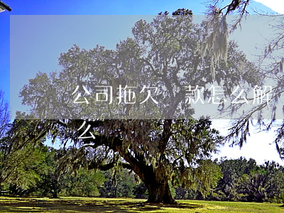 公司拖欠貨款怎么解決(做生意被拖欠貨款怎么辦)