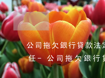 公司拖欠銀行貸款,法定代表人的責(zé)任-公司拖欠銀行貸款,法定代表人的責(zé)任承擔(dān)