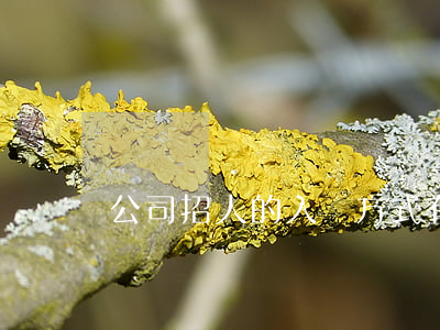 公司招人的入職方式有哪些