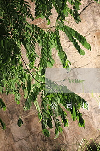 公司按揭法人还款逾期
