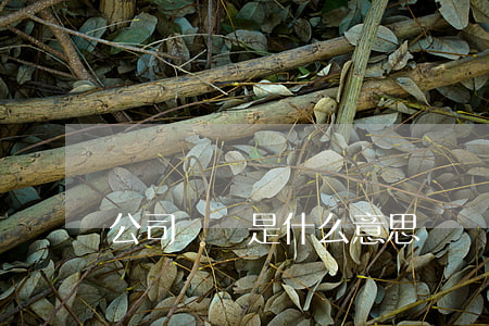 公司掛賬是什么意思(掛賬是欠賬的意思嗎)