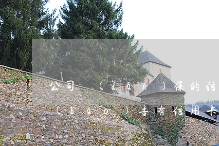公司擔(dān)保的信用卡逾期了(征信報(bào)告有信用卡逾期還可以擔(dān)保嗎)