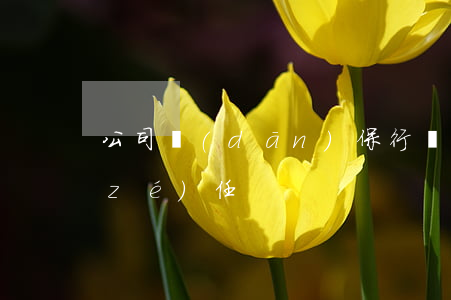 公司擔(dān)保行為的法律效力與責(zé)任