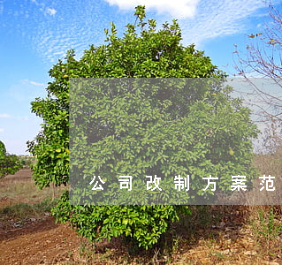 公司改制方案范文（企業改制怎么安置員工）