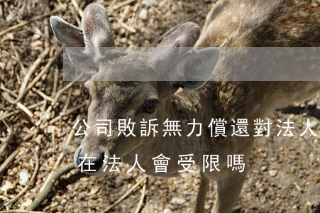 公司敗訴無力償還對法人影響(公司欠款敗訴在,法人會受限嗎)