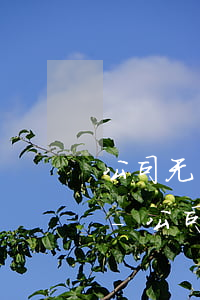 公司无力偿还债务一定会被列入失信人名单-公司无力偿还债务一定会被列入失信人名单吗