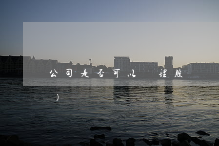 公司是否可以處理股東個人財產(chǎn)