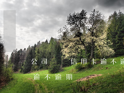 公司會館信用卡逾不逾期嗎(公司會館信用卡逾不逾期嗎)
