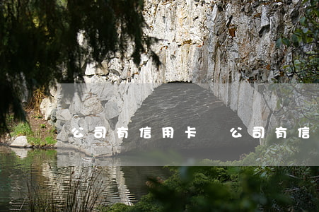 公司有信用卡嗎(公司有信用卡嗎)
