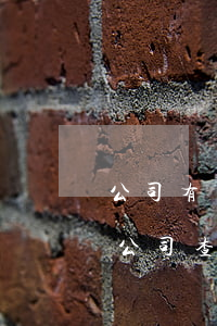 公司有無違法等可以查征信嗎(進(jìn)公司查征信嗎)