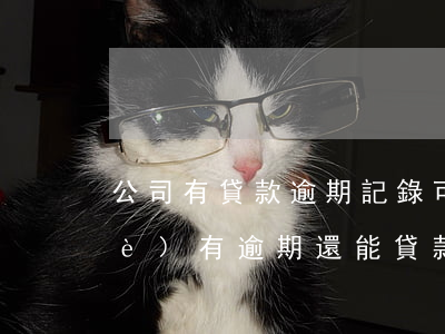 公司有貸款逾期記錄可否IPO-企業(yè)有逾期還能貸款嗎