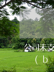 公司未支付競(jìng)業(yè)限制補(bǔ)償金的,可以解除相關(guān)協(xié)議嗎