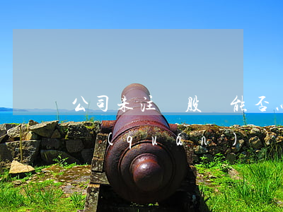 公司未注銷,股東能否以自己名義起訴主張債權(quán)