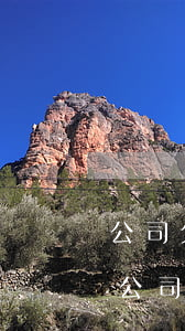 公司欠債無(wú)力償還協(xié)議(公司無(wú)力償還債務(wù)新政策)
