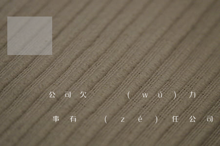 公司欠債無(wú)力償還監(jiān)事有責(zé)任(公司欠款監(jiān)事承擔(dān))