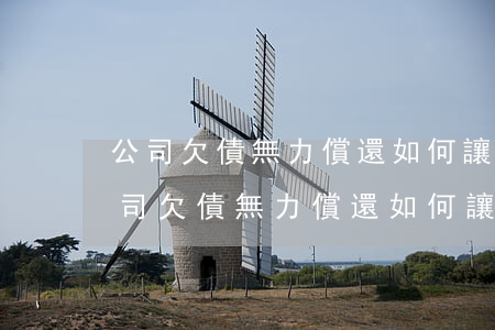 公司欠債無力償還如何讓法人個人償還-公司欠債無力償還如何讓法人個人償還債務(wù)