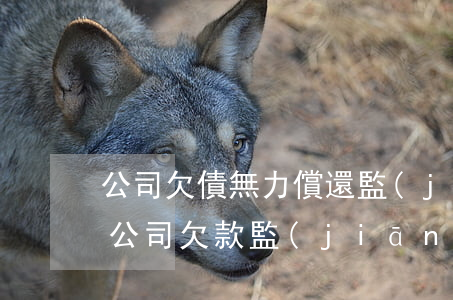 公司欠債無力償還監(jiān)事有責任(公司欠款監(jiān)事承擔)