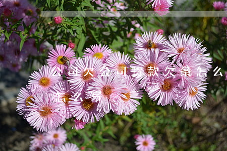 公司欠公司货款欠条怎么写(公司对公司欠条怎么写)