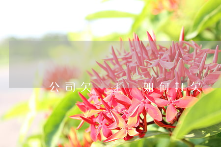 公司欠員工資如何打欠條