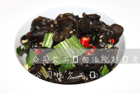 公司欠工資向法院起訴老板可以嗎(法院起訴公司拖欠工資)