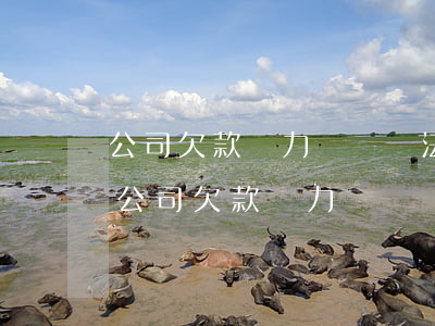 公司欠款無力償還時法人會被行政拘留嗎-公司欠款無力償還時法人會被行政拘留嗎