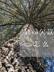 公司欠款無力償還股東 公司欠款無力償還股東怎么辦