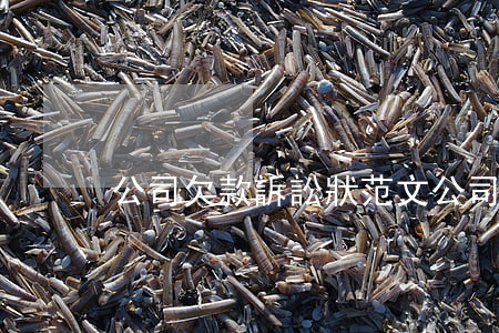 公司欠款訴訟狀范文（公司被欠錢起訴表格）