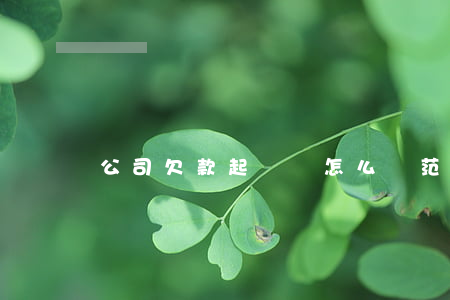 公司欠款起訴書怎么寫范本