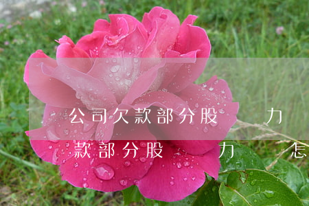 公司欠款部分股東無力償還怎么辦-公司欠款部分股東無力償還怎么辦呢